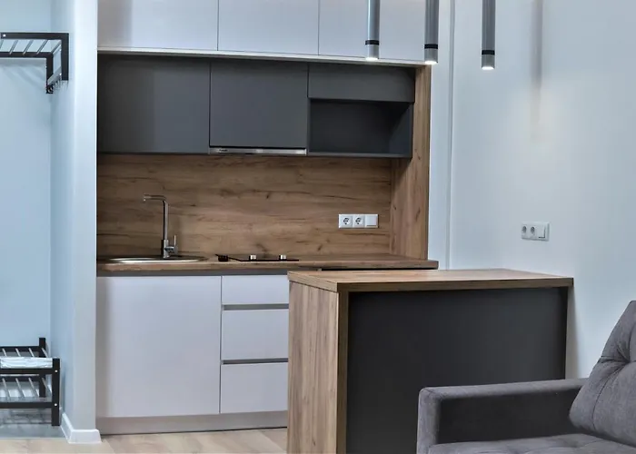 In Avalon On Chornovola St ホテル *